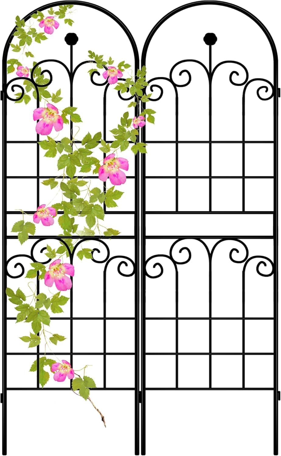 LZRS 2 Pack 71x20in Rustic Iron Arch Decoration Garden Trellis with Black Metal Coating – Perfect