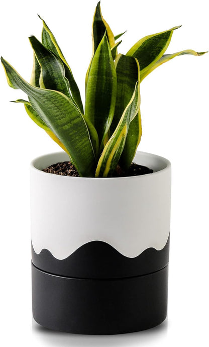Nihow Self Watering Plant Pot: 6 Inch Ceramic Planter with Drainage Hole & Water Storage Plus for