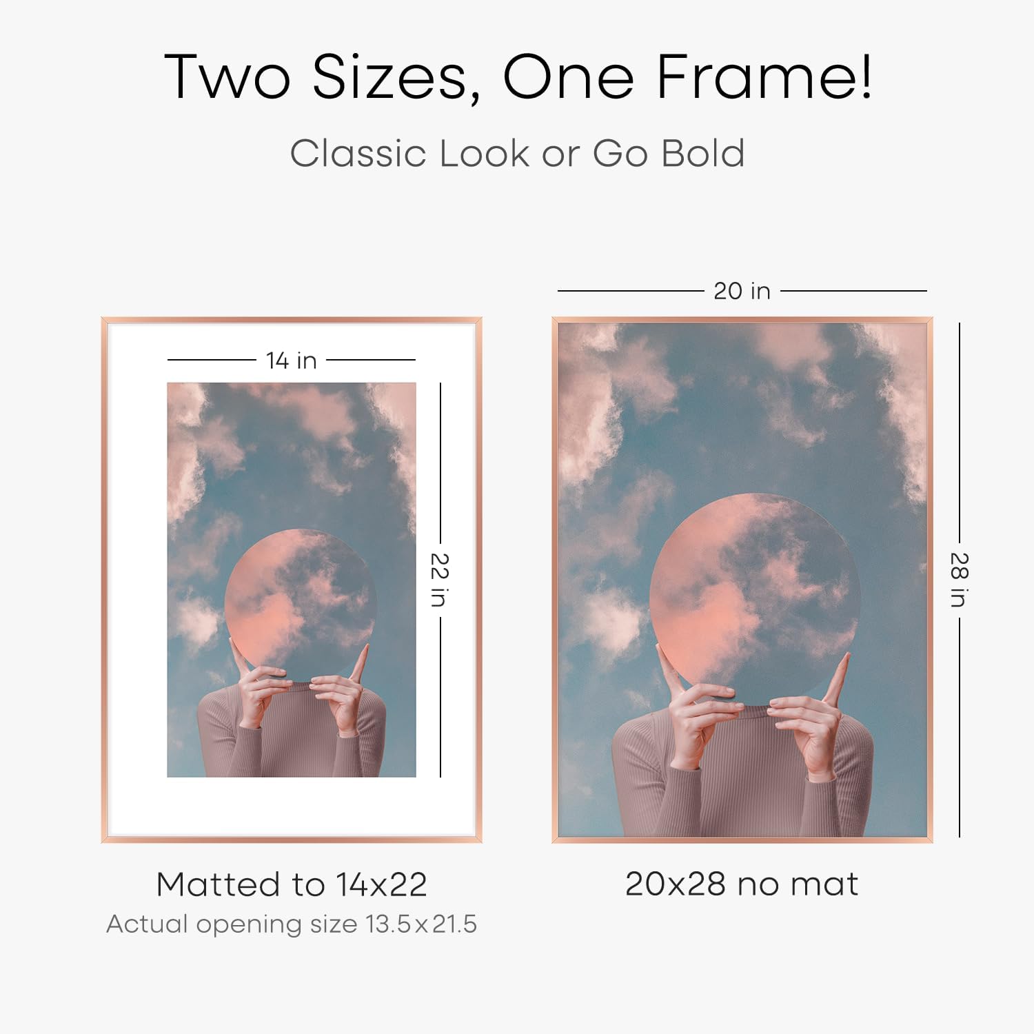 Homeforia 20x28 Frame Rose Gold, High End Metal 20x28 Poster Frames with Mat 14x22 inch Photo, 20 x