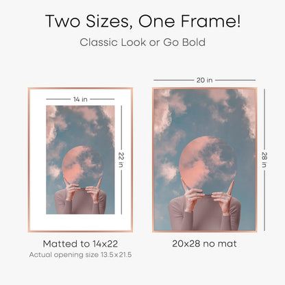 Homeforia 20x28 Frame Rose Gold, High End Metal 20x28 Poster Frames with Mat 14x22 inch Photo, 20 x