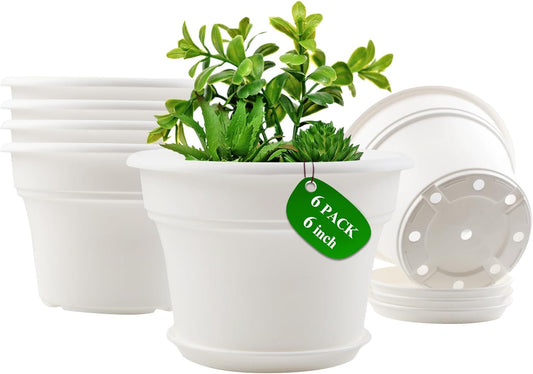 6 Inch Plastic-Flower Pot-for-Indoor Plants, 6 Pack Outdoor Plant Pots with Drainage Holes &