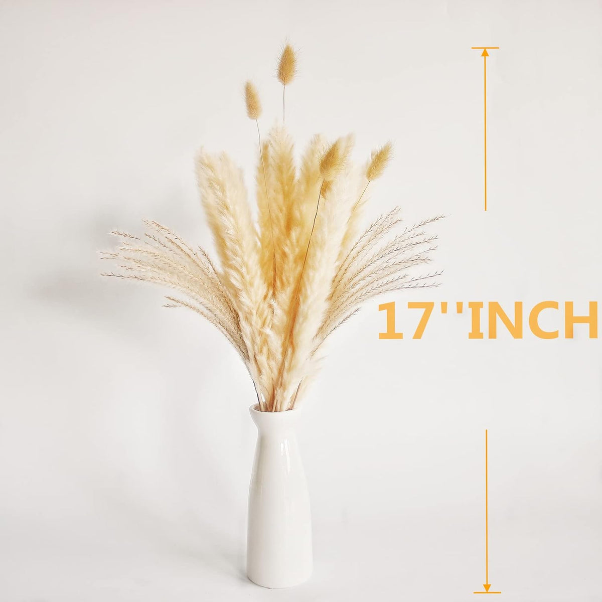 Natural Dried Pampas Grass Decor, Beige Pampas Grass, Bunny Tails Dried Flowers, Reed Grass Bouquet