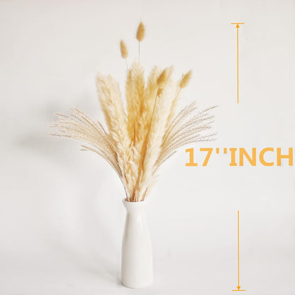 Natural Dried Pampas Grass Decor, Beige Pampas Grass, Bunny Tails Dried Flowers, Reed Grass Bouquet