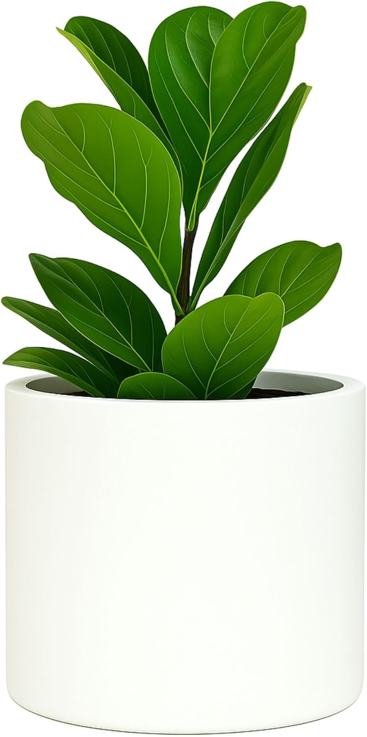 Fox & Fern 8 Inch Plant Pot with Drainage Plug — Premium Lightweight Fiberstone Matte White