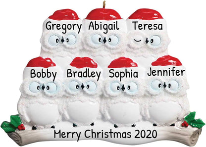 Owl Family of 7 Ornament 2025 Personalized Family Christmas Ornaments 2025 | White Holiday Keepsake