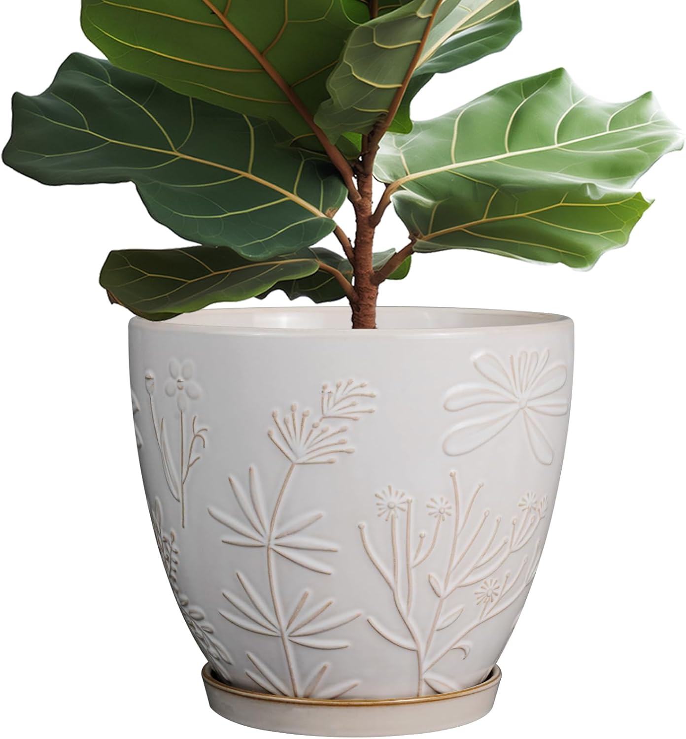 10 Inch Plant Pot Ceramic Planter Pot with Drainage Hole and Saucer Round Planter Large Flower Pot