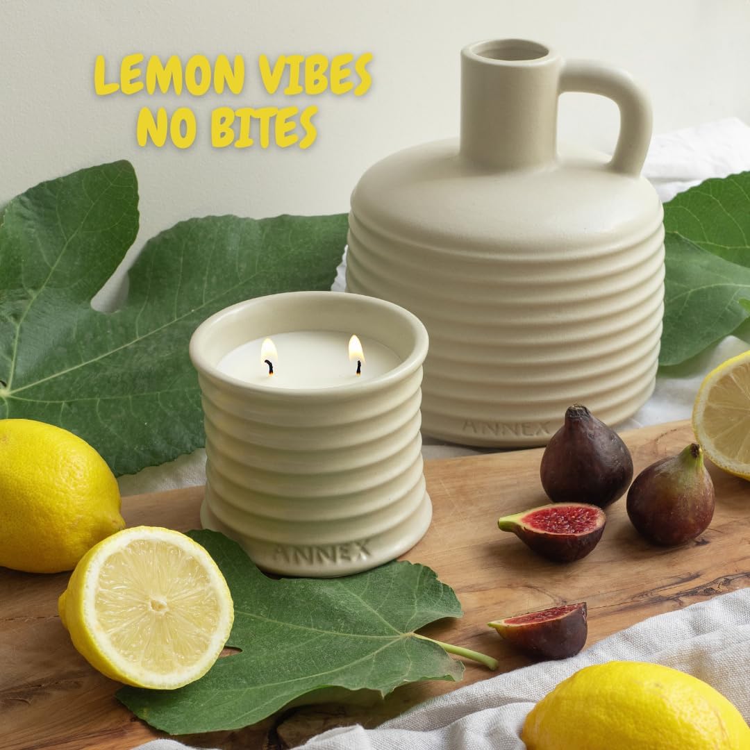 Scented Luxury Citronella Candles outdoor, Mosquito Bug Repellent | Handmade Ceramic Jars, Soy Wax