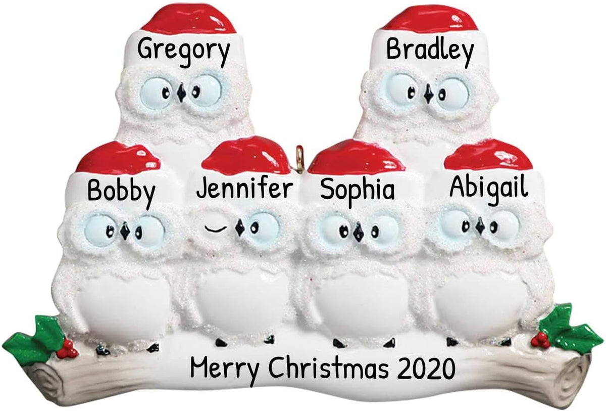3D Owl Family of 6 Ornament 2025 Personalized Family Christmas Ornaments 2025 | White Holiday
