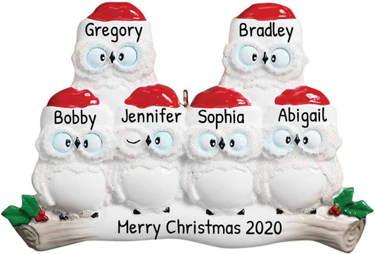 3D Owl Family of 6 Ornament 2025 Personalized Family Christmas Ornaments 2025 | White Holiday