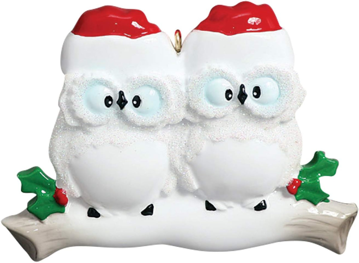 3D Personalized Our First Christmas Ornament 2025 | Custom Owl Couple Ornaments Winter White Owls