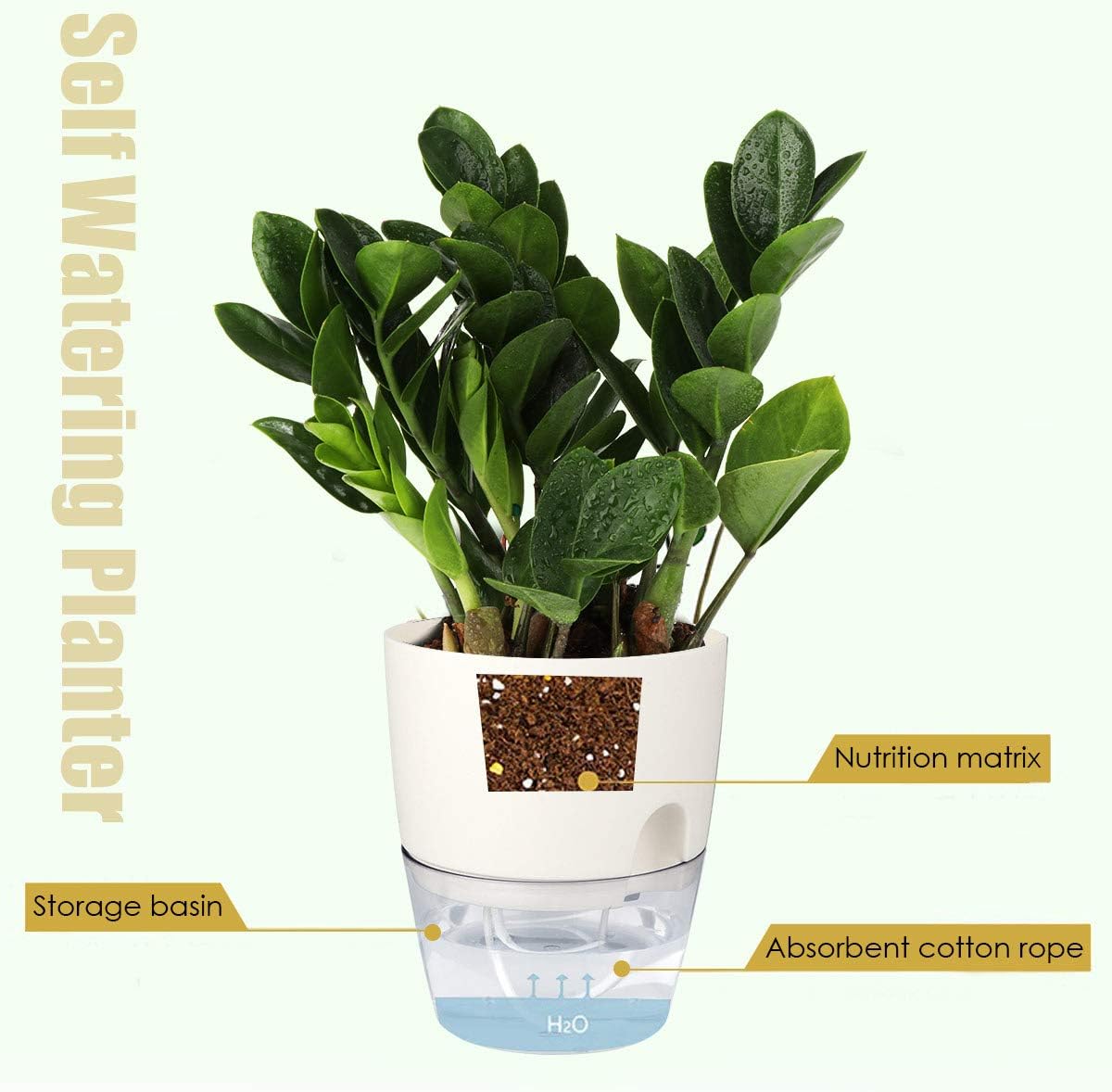 Vanavazon 6 Inch Self Watering Planter Pots for Indoor Plants, 3 Pack African Violet Pots with Wick