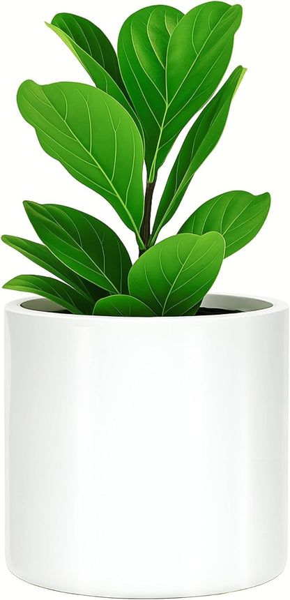 Fox & Fern 10 Inch Plant Pot with Drainage Plug — Premium Lightweight Fiberstone Glossy White