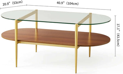 Oval Glass Coffee Table, Mid-Century Modern Design, L41 x W21 x H17 inch, for Living Room, 2-Tier