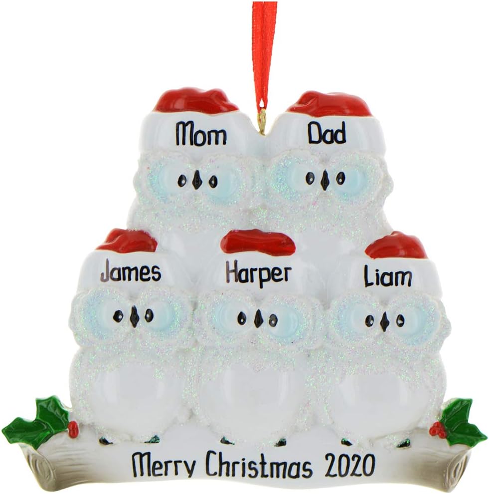 3D Owl Family of 5 Christmas Ornament 2025 Personalized Family Christmas Ornaments 2025 | White