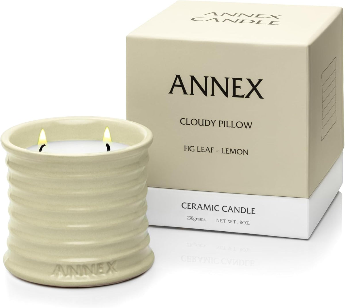 Scented Luxury Citronella Candles outdoor, Mosquito Bug Repellent | Handmade Ceramic Jars, Soy Wax