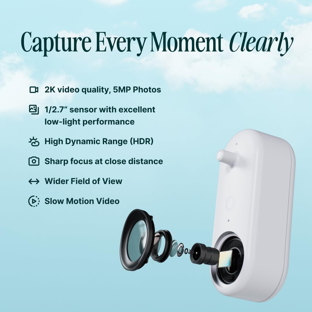 Birdbuddy PRO Solar Smart Bird Feeder with Camera - AI Bird Species Identification, 5MP Photos, 2K
