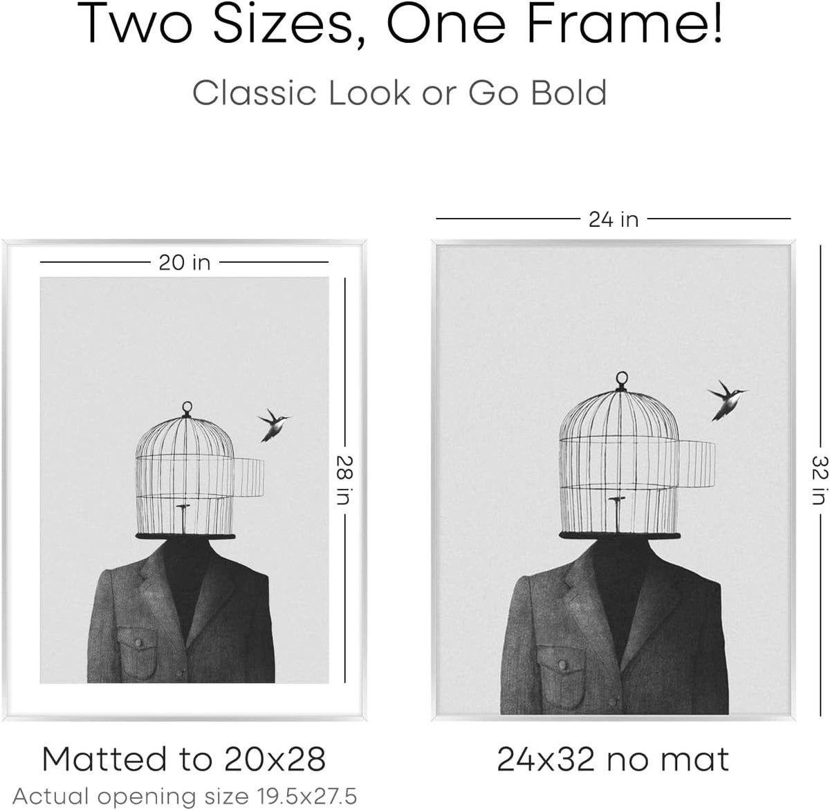 Homeforia Poster Frame 24x32 Silver, High End Metal 24 x 32 Large Picture Frame with Mat 20 x 28