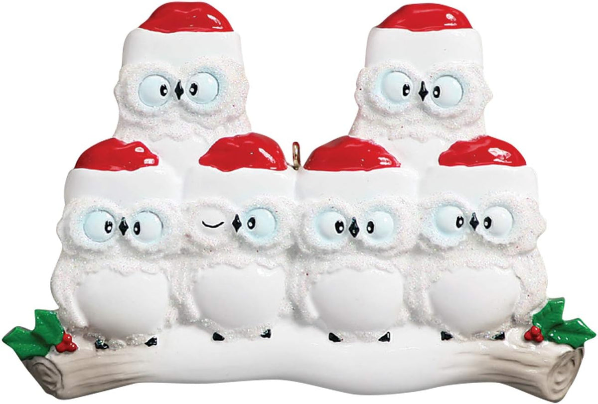 3D Owl Family of 6 Ornament 2025 Personalized Family Christmas Ornaments 2025 | White Holiday