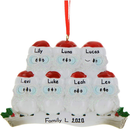 Owl Family of 7 Ornament 2025 Personalized Family Christmas Ornaments 2025 | White Holiday Keepsake