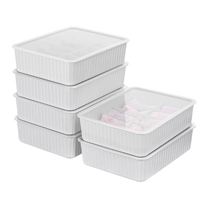 Cetomo 10 Cells Plastic Underwear Sock Drawer Organizer with Lid, Lidded Storage Box with Dividers