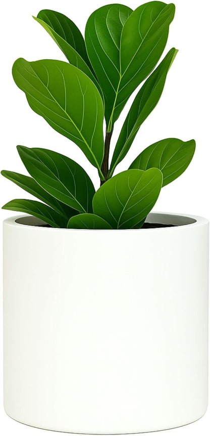 Fox & Fern Large 12 Inch Plant Pot with Hidden Saucer — Premium Lightweight Fiberstone Matte White