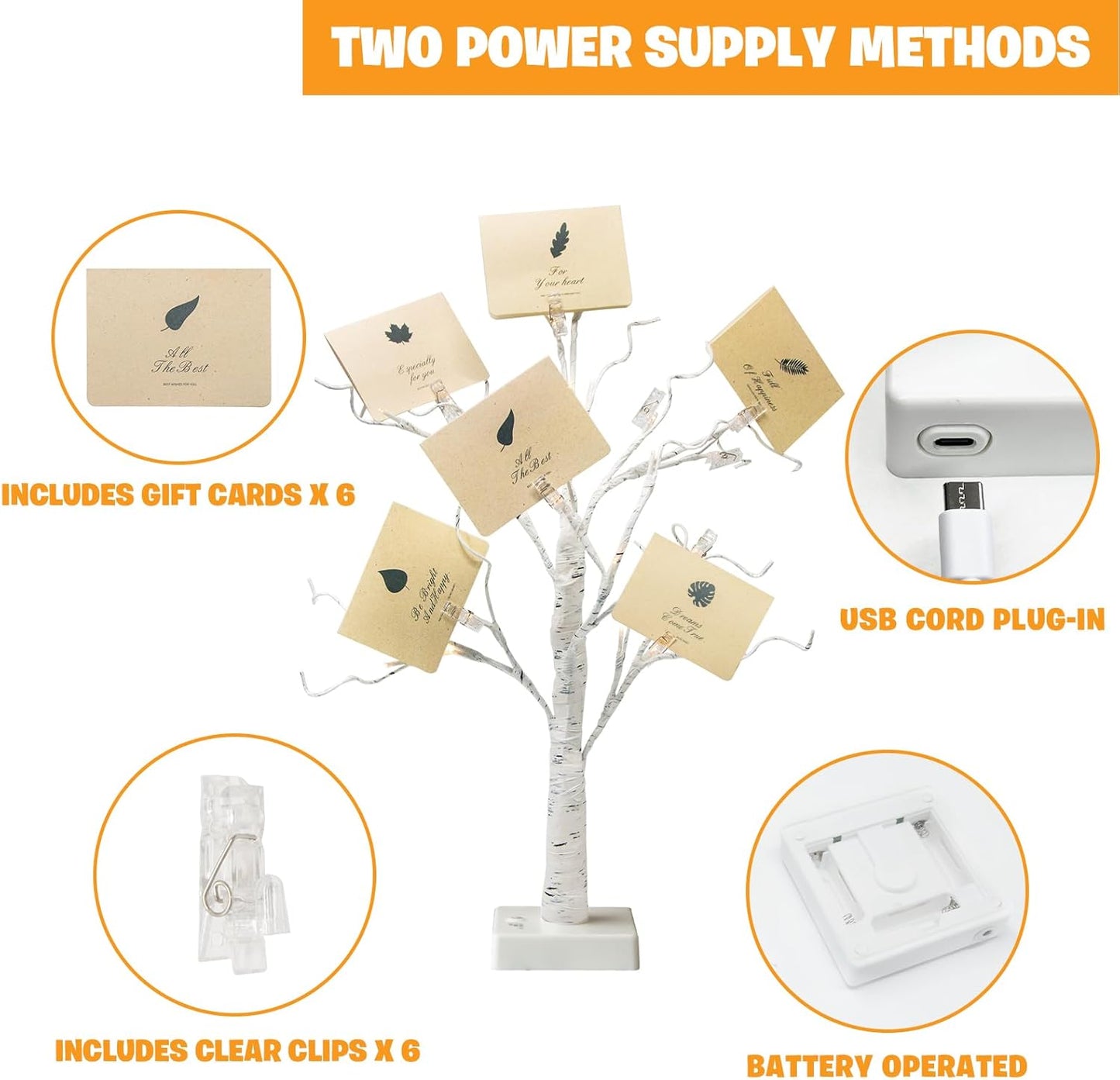 EAMBRITE Money Tree Gift Holder, Lighted Birch Tree 2FT 24LED, Battery/USB Powered Timer Light Up