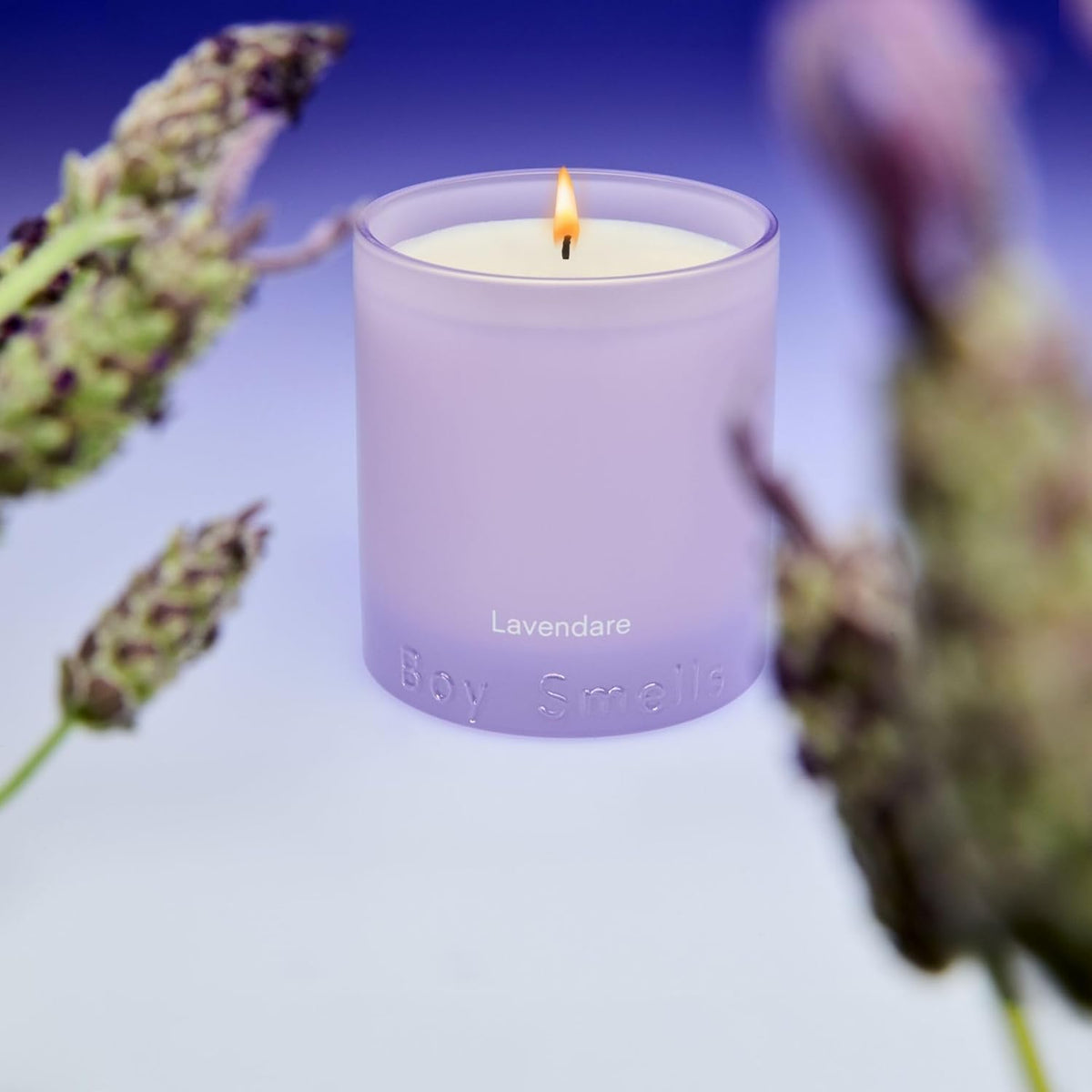 Boy Smells Lavender Candle - 8.5 oz - Luxury Candle with Lemon, Lavander, and Vetiver - Up to