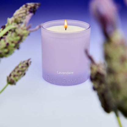 Boy Smells Lavender Candle - 8.5 oz - Luxury Candle with Lemon, Lavander, and Vetiver - Up to