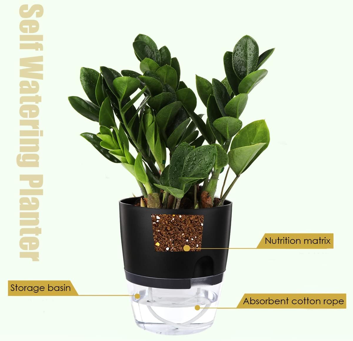 Vanavazon 6 Inch Self Watering Planter Pots for Indoor Plants, 3 Pack African Violet Pots with Wick