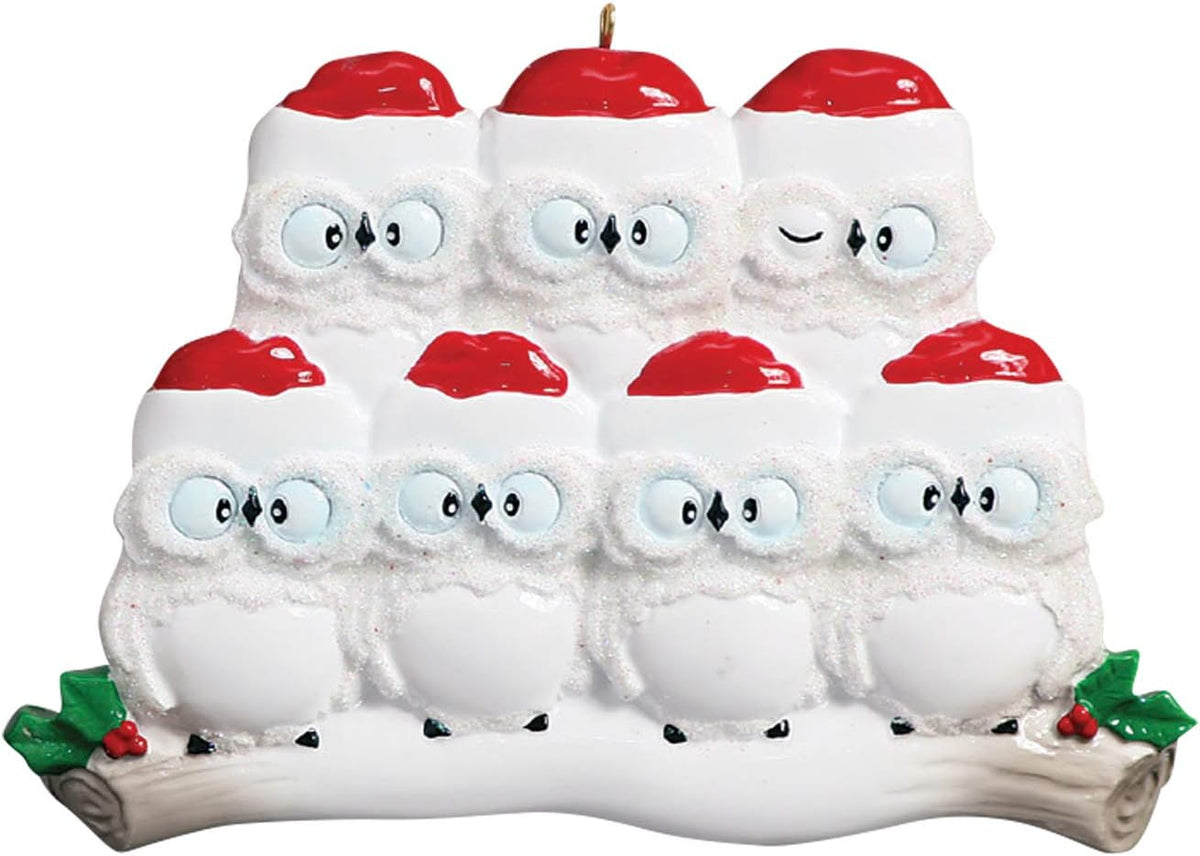 Owl Family of 7 Ornament 2025 Personalized Family Christmas Ornaments 2025 | White Holiday Keepsake