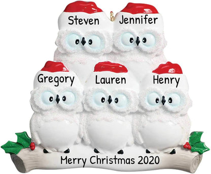 3D Owl Family of 5 Christmas Ornament 2025 Personalized Family Christmas Ornaments 2025 | White
