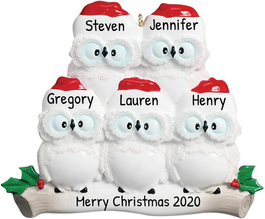 3D Owl Family of 5 Christmas Ornament 2025 Personalized Family Christmas Ornaments 2025 | White