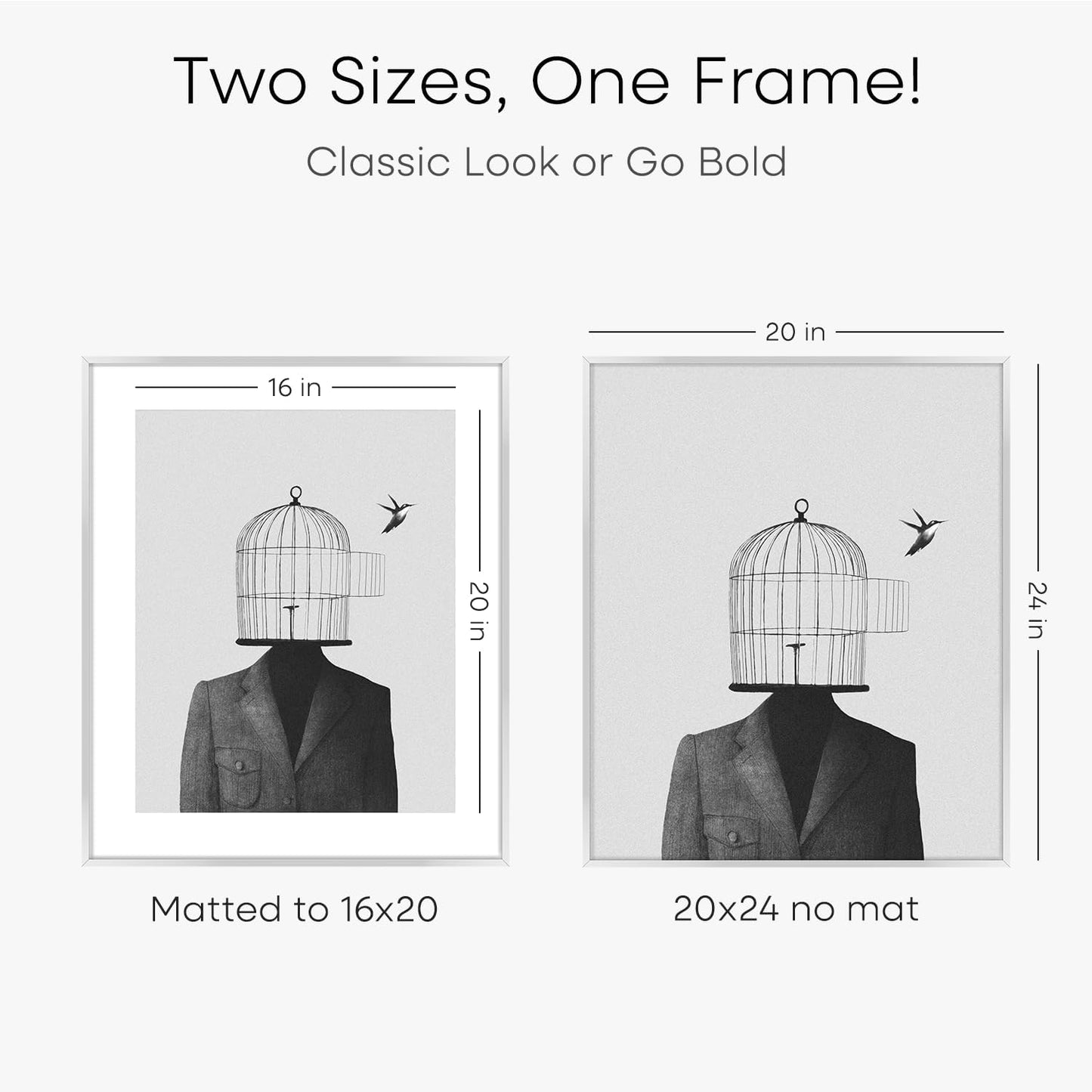 Homeforia 20x24 Picture Silver Frame, High End Metal 20 x 24 Poster Frames with Mat 16 by 20 for