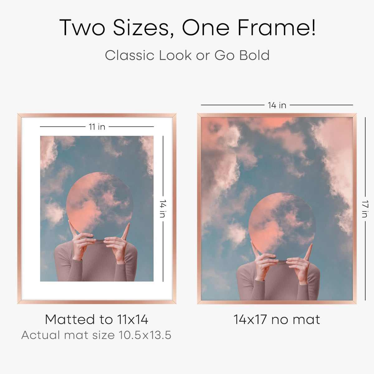 Homeforia 14x17 Picture Frame Rose Gold, High End Metal 14x17 Poster Frames with Mat 11x14 inch