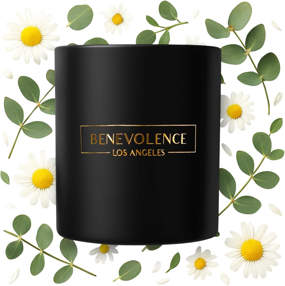 Benevolence LA Eucalyptus & Chamomile Scented Candle | Soy Candles, Black Candle for Home | Gifts