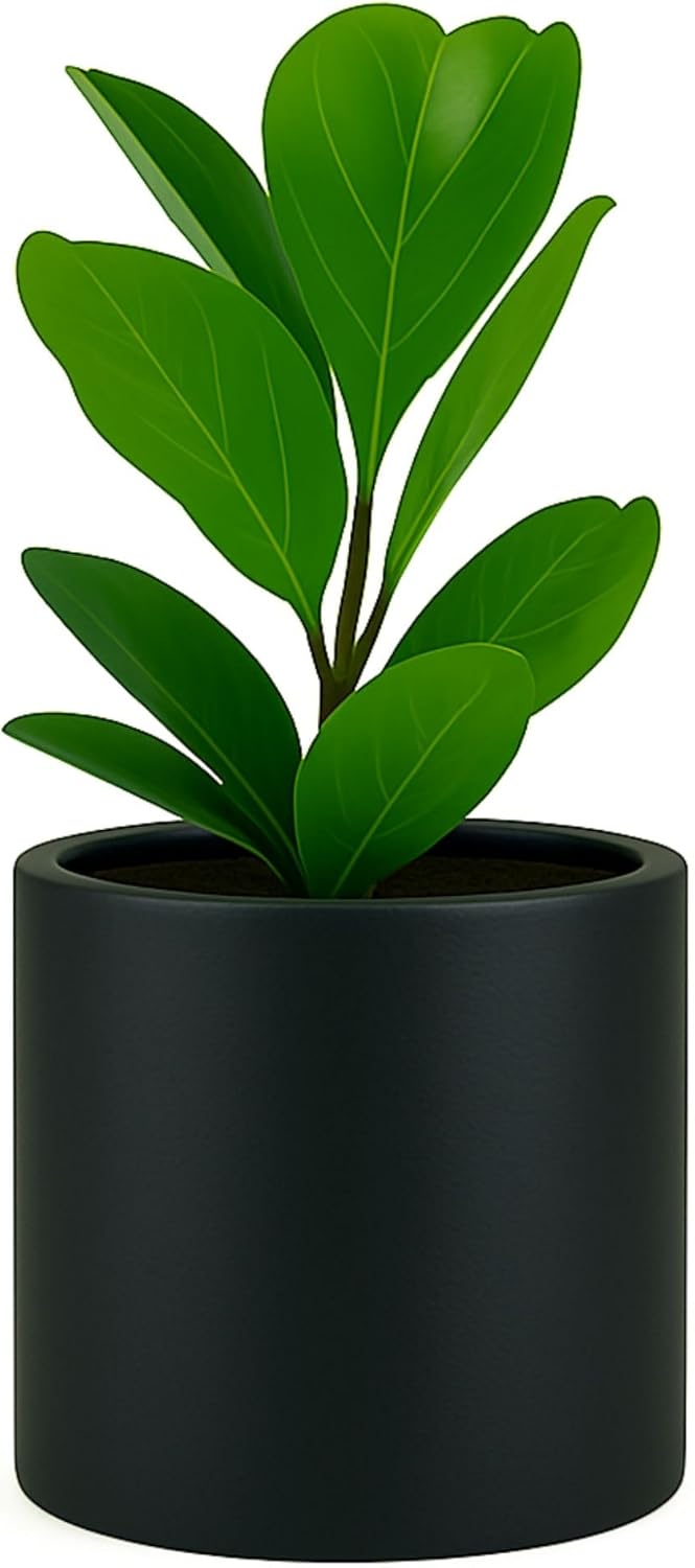 Fox & Fern 10 Inch Black Plant Pot with Drainage Plug — Premium Lightweight Fiberstone Matte Black