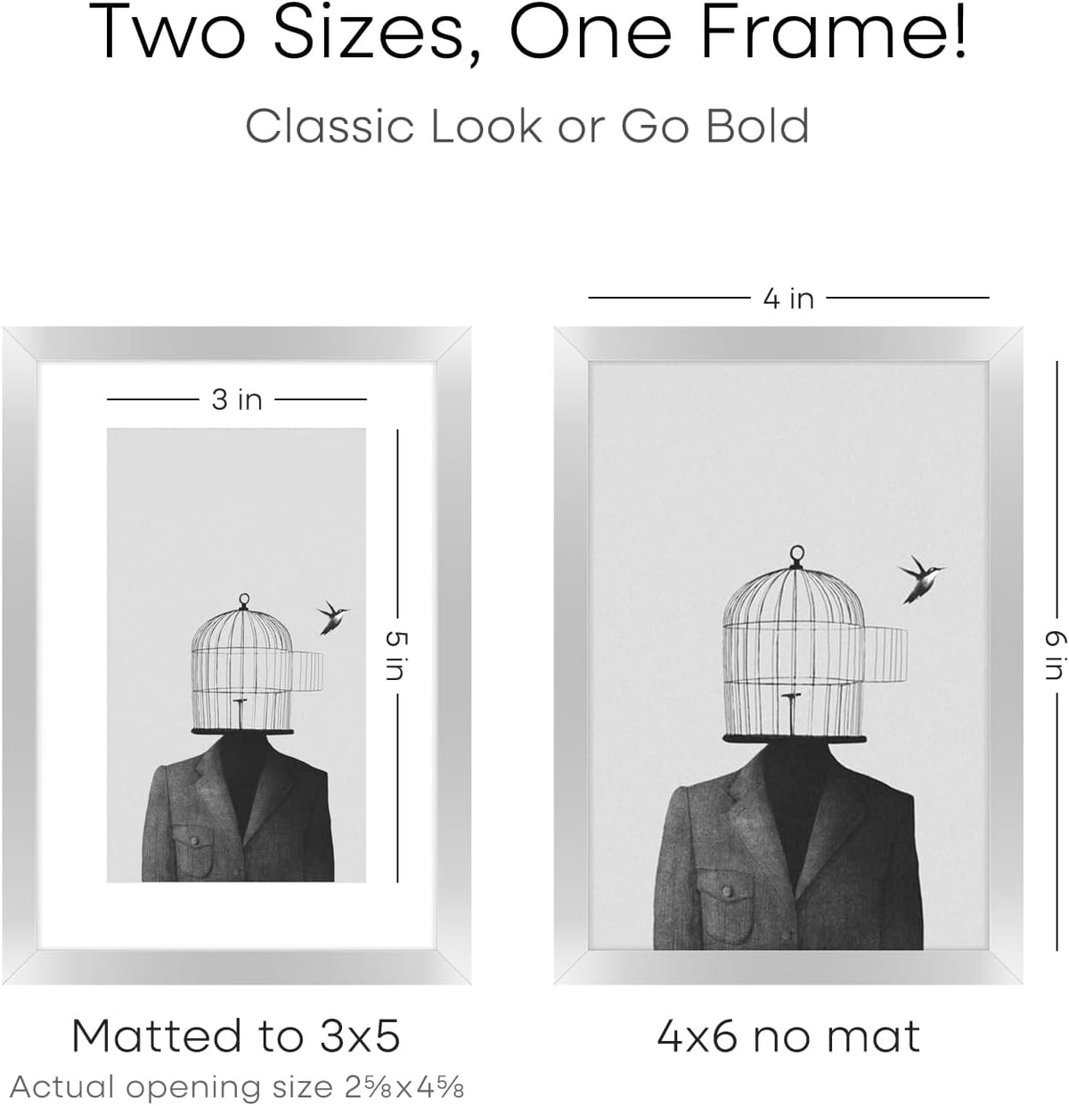 Homeforia 4x6 Picture Frame Silver, High End Metal 4 x 6 Silver Frames with Mat 3 x 5 Print, 4by6