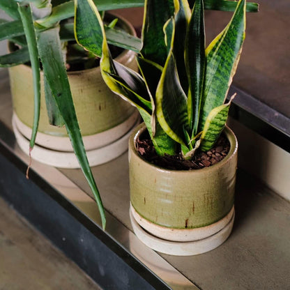 6 + 8 Inch Plant Pots, Ceramic Planter Pot with Drainage Hole & Saucer, Indoor/Outdoor Cylinder