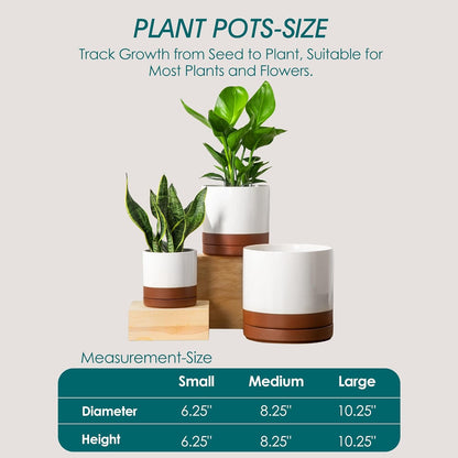 vancasso Ceramic Pots for Plants, Plant Pots for Indoor Plants, 6.25+8.25+10.25 Inch Ceramic