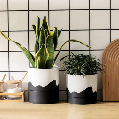 Nihow Ceramic Plant Pot: 6 Inch Planter with Drainage Hole & Saucer for Indoor & Outdoor Plants