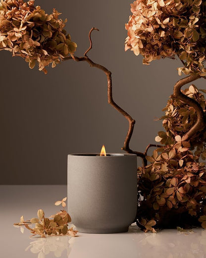 Homecourt Luxury Scented Candle, Cece Scent, 60-Hour Burn Time, Soy Wax Blend, Organic Cotton Wick