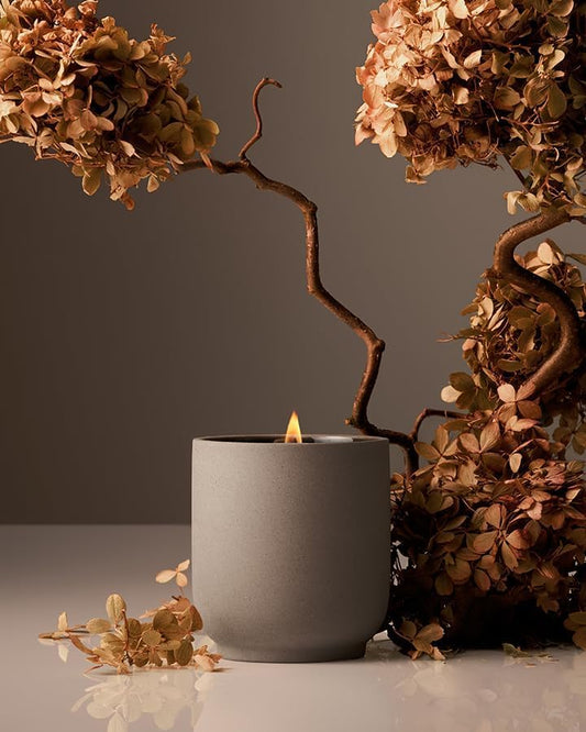 Homecourt Luxury Scented Candle, Cece Scent, 60-Hour Burn Time, Soy Wax Blend, Organic Cotton Wick