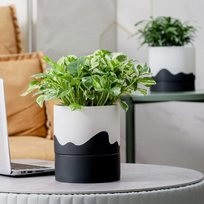 Nihow Self Watering Plant Pot: 6 Inch Ceramic Planter with Drainage Hole & Water Storage Plus for