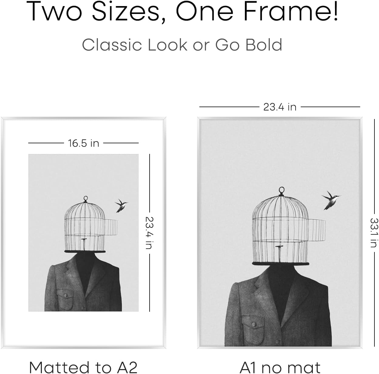 Homeforia A1 Poster Frame Silver, High End Metal A1 Large Picture Frame Silver with Mat A2 for