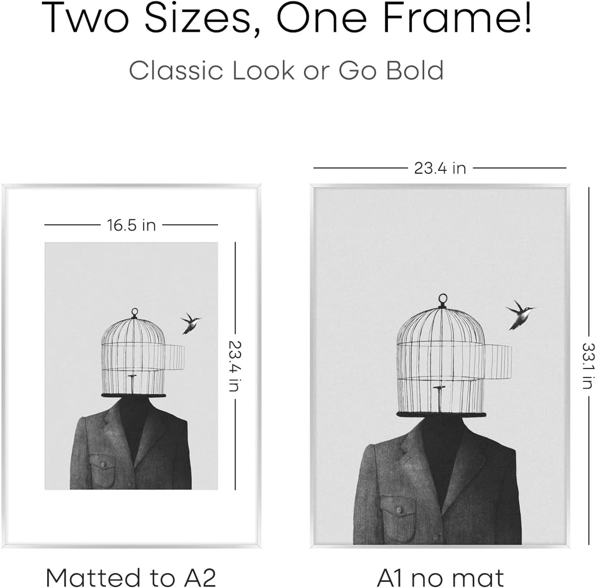Homeforia A1 Poster Frame Silver, High End Metal A1 Large Picture Frame Silver with Mat A2 for
