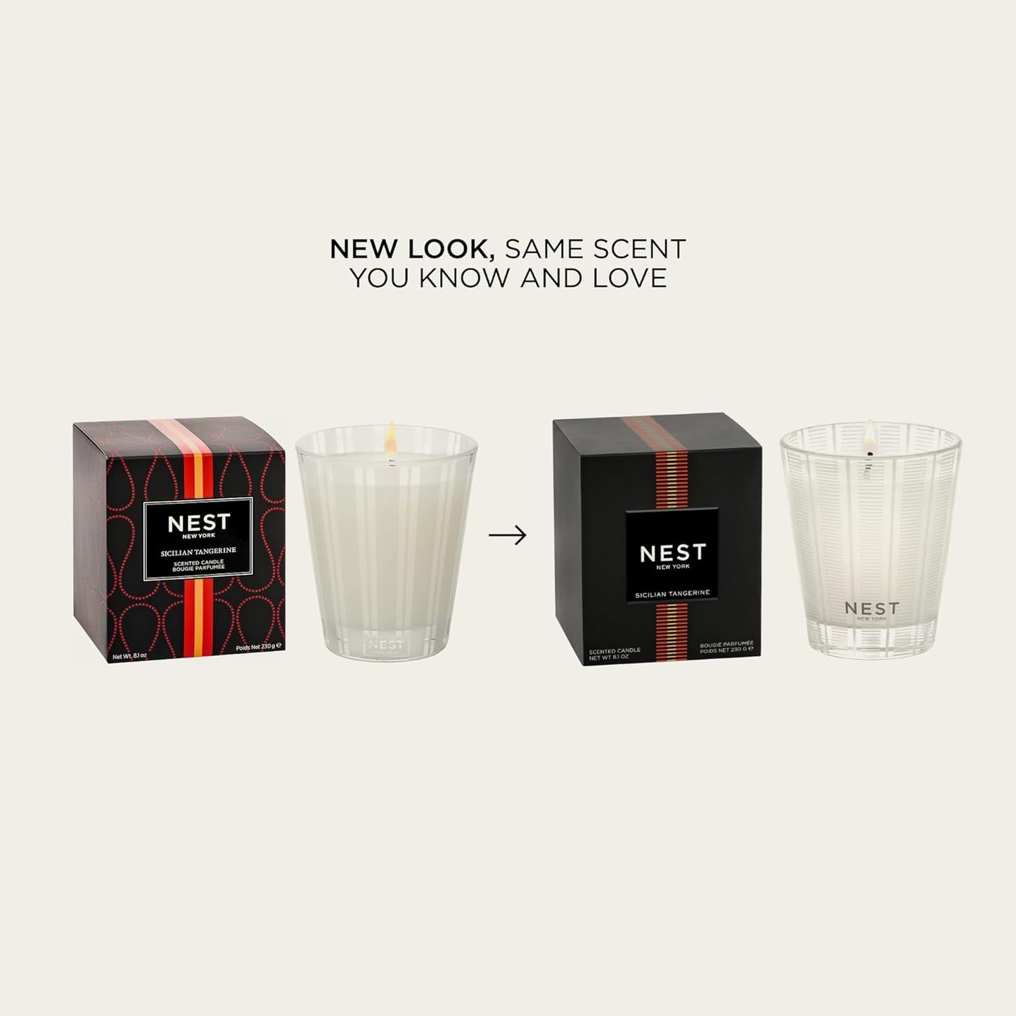 NEST New York Scented Classic Candle, Sicilian Tangerine - 8.1 oz - Up to 60-Hour Burn Time