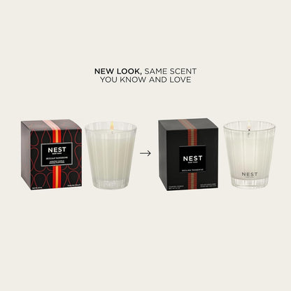 NEST New York Scented Classic Candle, Sicilian Tangerine - 8.1 oz - Up to 60-Hour Burn Time