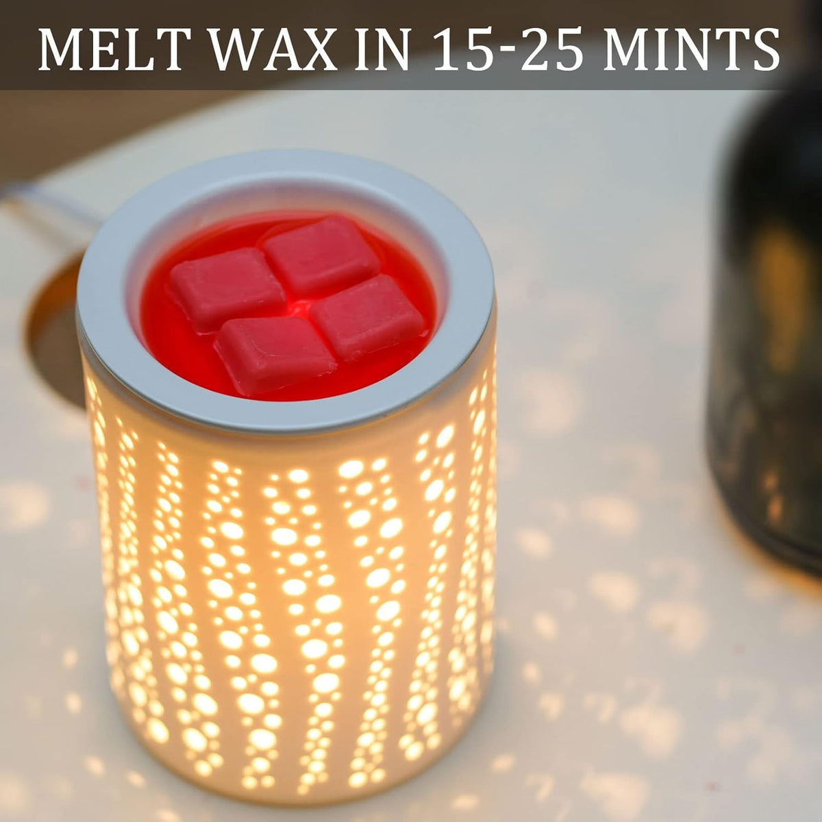 PALANCHY Wax Melt Warmer with Timer Electric Candle Wax Warmer Ceramic Oil Burner with 2/4/8 Hr