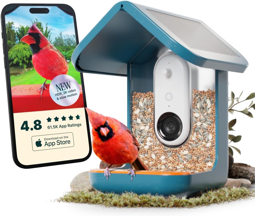 Birdbuddy PRO Solar Smart Bird Feeder with Camera - AI Bird Species Identification, 5MP Photos, 2K