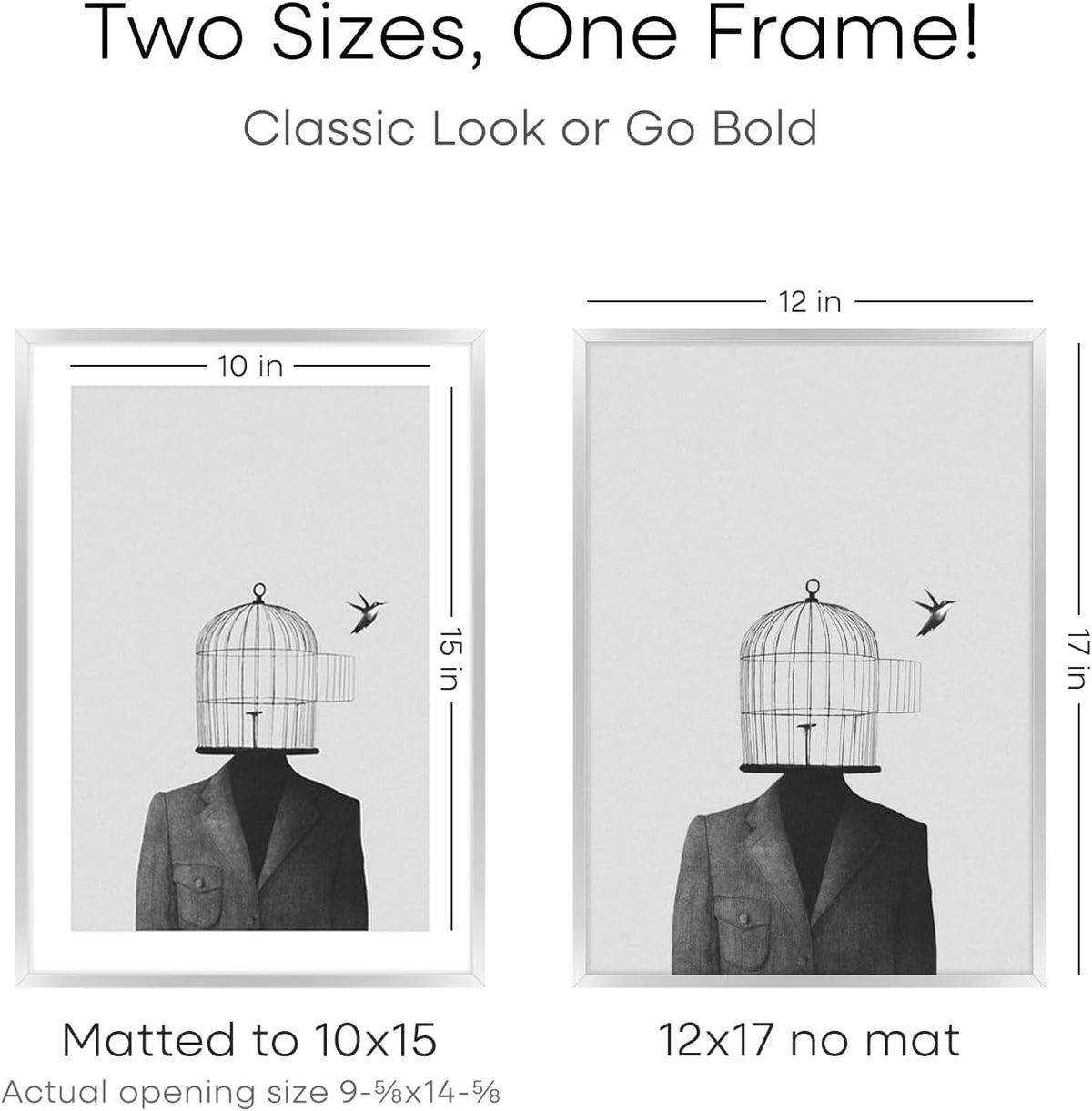 Homeforia 12x17 Picture Frame Silver, High End Metal 12x17 Frames with Mat 10x15 for Photo, 12 x 17